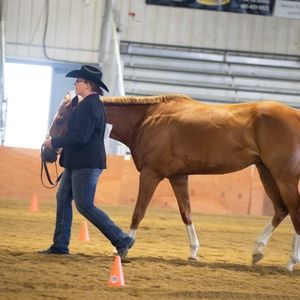 Meet your Posher, Rebecca